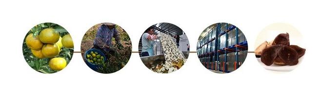 0bf7668a4e158bd3bb7b2844cbe0fe2e.jpg QQ截圖20160729183812.jpg