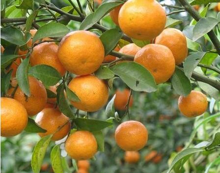 2758b737923371fb27ab20ee8a21508a.jpg QQ截圖20160729183706.jpg