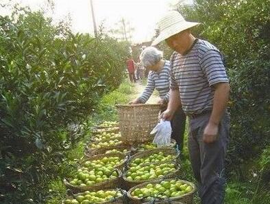 2fc8b7c2490f97a223150471a7762004.jpg QQ截圖20160729163138.jpg