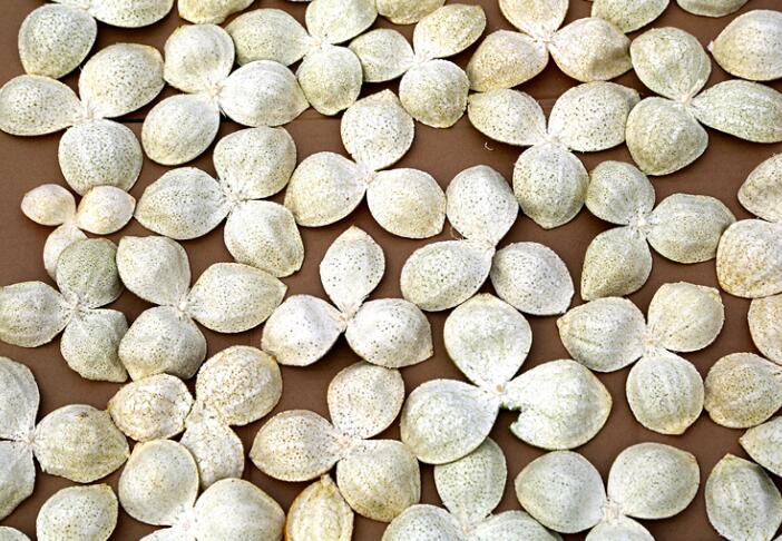 4b7995041a08f82244061d11888ccf09.jpg QQ截圖20160729161318.jpg