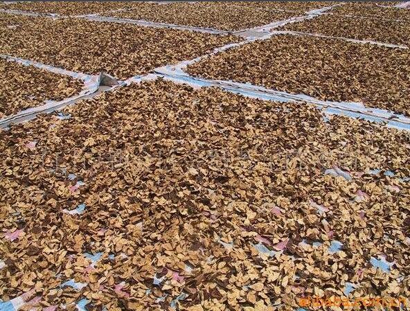 926c05ac75a89cb3ccb9e3f6b6538489.jpg QQ截圖20160729163219.jpg