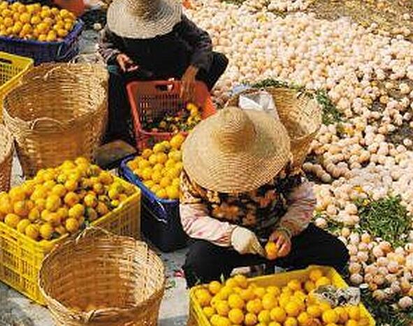 9a8025614f9f447aa1bc47def79d6873.jpg QQ截圖20160729163201.jpg