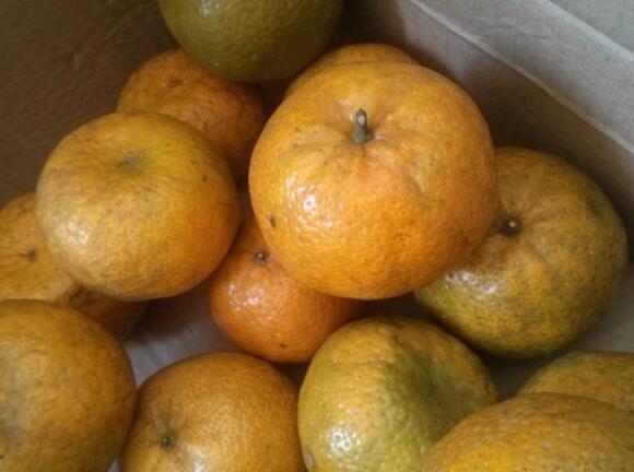 2445d543a4ba6b6590d509330812abd3.jpg QQ截圖20160802112636.jpg