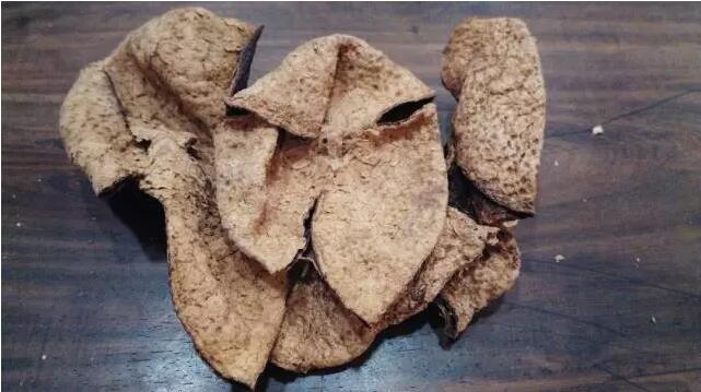 12322feef5ca54e2455ba406e04c1541.jpg QQ截圖20160810152015.jpg