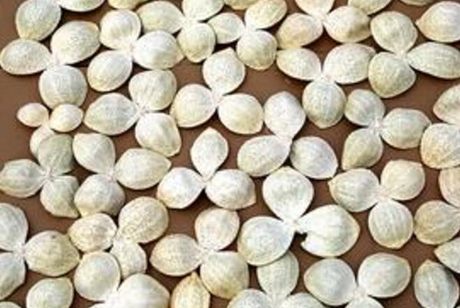 e4b48cb562ac87f5b9462468bcd6dafb.jpg QQ截圖20160729161308.jpg