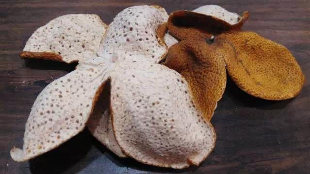 fa4a2e84dba1e1d61e313c570284e6a3.jpg QQ截圖20160810151941.jpg