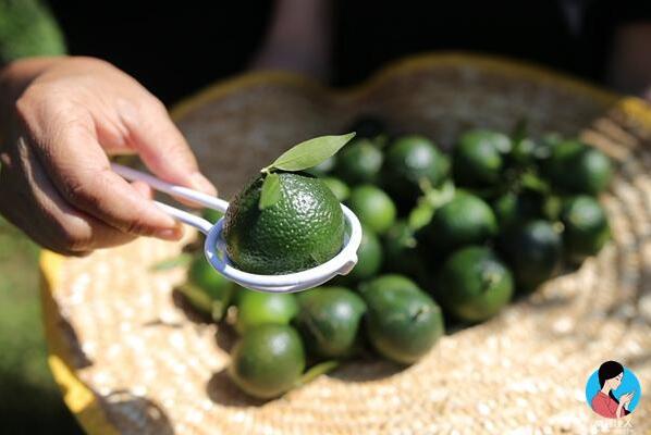 25a6c82686ab9ad24b59f9fb61047364.jpg QQ截圖20160817140754.jpg