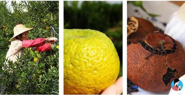 2c5a854c24e788235f8ee3c0ee8e0574.jpg QQ截圖20160817140832.jpg