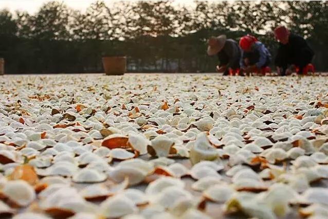 1f83b46368c13bf66efe6b1055cbdac1.jpg QQ截圖20160906101253.jpg