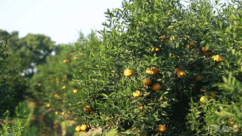 74f4e8f97138d932d12c6642a1a00452.gif dd80001b474ede36274.gif