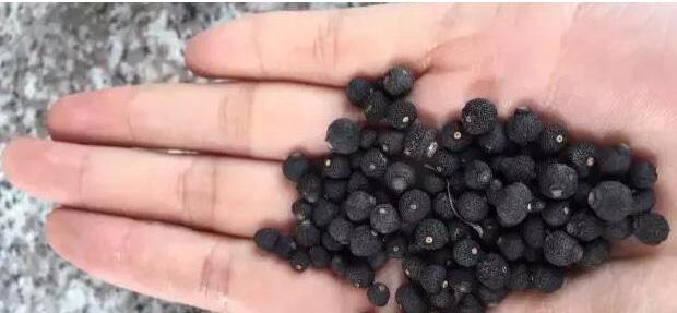 990b72ad4a8fbb7574f783bcbc3e40ae.jpg QQ截圖20160906105453.jpg