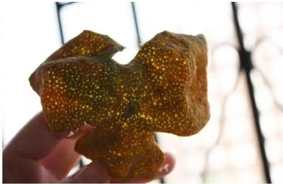 57d22b1c695a4bccad21d5fc9b4a8580.jpg QQ截圖20160817144833.jpg