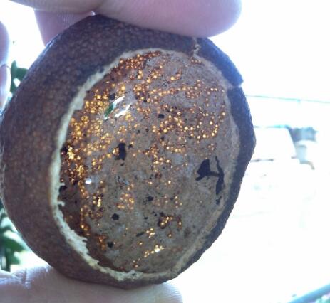 c0dfe35d71882eba844acdde25eb8166.jpg QQ截圖20160914121922.jpg