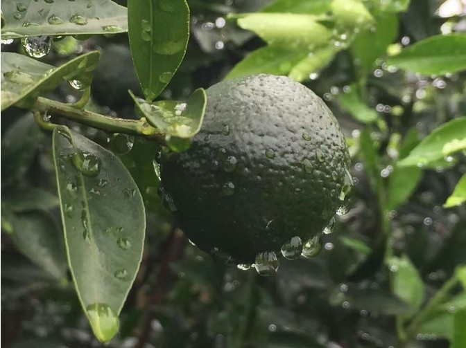 6b305a730f1387fd3b5c58242b4ecaa6.jpg 6b305a730f1387fd3b5c58242b4ecaa6.jpg