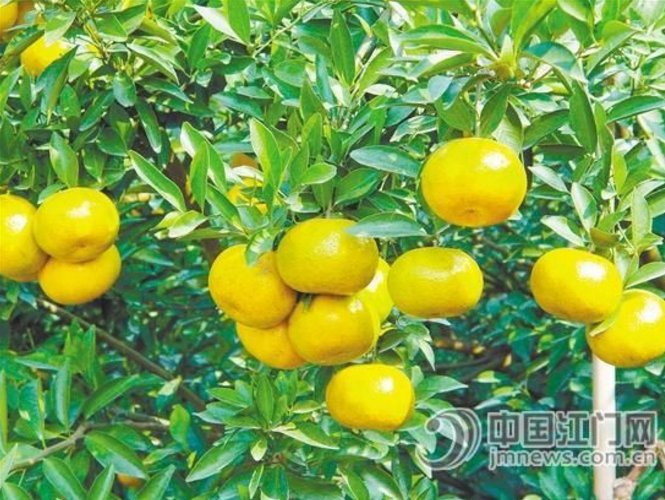 7cd79c19632ca3d6039e6d60b085b33d.png QQ截圖20160923135307.png