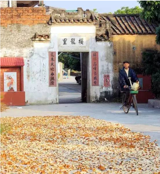 3c37d4e21474e2faf24e6ccd8d89bd8f.png QQ截圖20160925162626.png