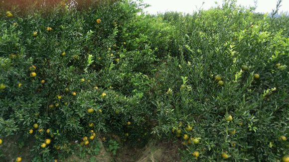 5b5f73fd42a14c12e07832c7d0d7422d.jpg e61dd5e736d12f2ed49e69bd49c2d56287356842.jpg