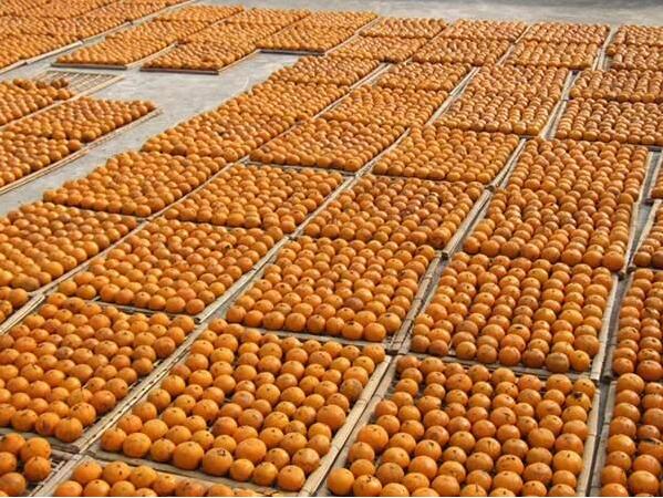 63744f4cba54710ba7f8543201ea3558.jpg www.clwjbcxs.com新會陳皮網20160929153235.jpg