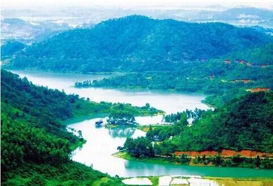 39f6b405e47d7b2e276f58f79b64afc4.jpg www.clwjbcxs.com新會陳皮網20161005171848.jpg