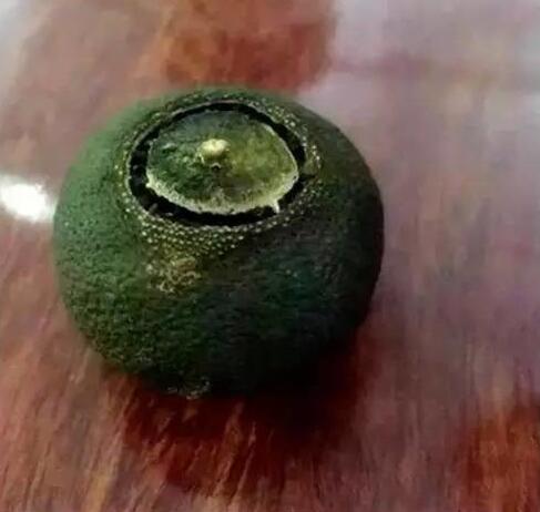 7c635b3f9c8353c36de57964b48a4f64.jpg www.clwjbcxs.com新會陳皮網20161008104539.jpg