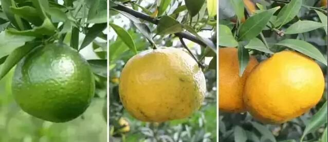 fb0553c150f4de00744ca717ab0a3f11.jpg QQ鎴浘20160810160201.jpg