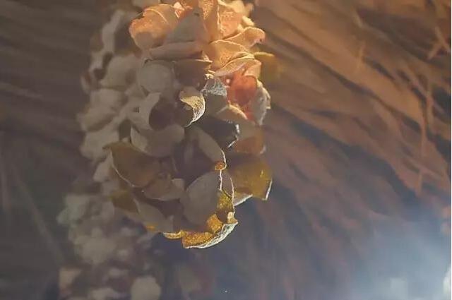 3ccb1a553b155e8bd50e11f650371b9d.jpg QQ鎴浘20160906101319.jpg