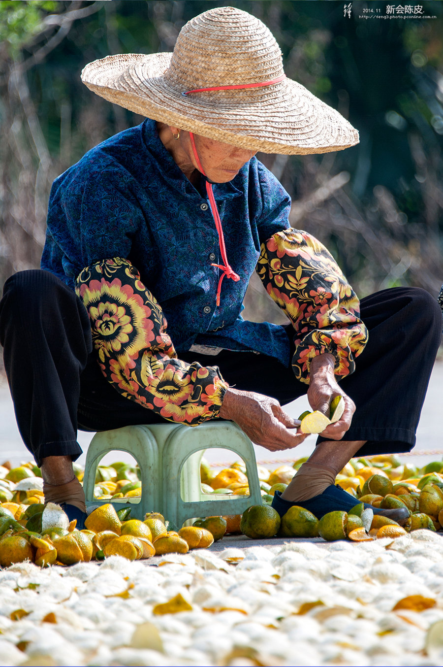 2d0060bccf83c2880c871b44e75516ef.jpg 48379_48379_1416151864149_mthumb.jpg