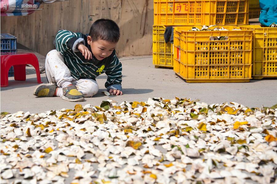 3034ef130b2b3cc5556d7725fcf3b09f.jpg www.clwjbcxs.com新會陳皮網(wǎng)20161013170845.jpg