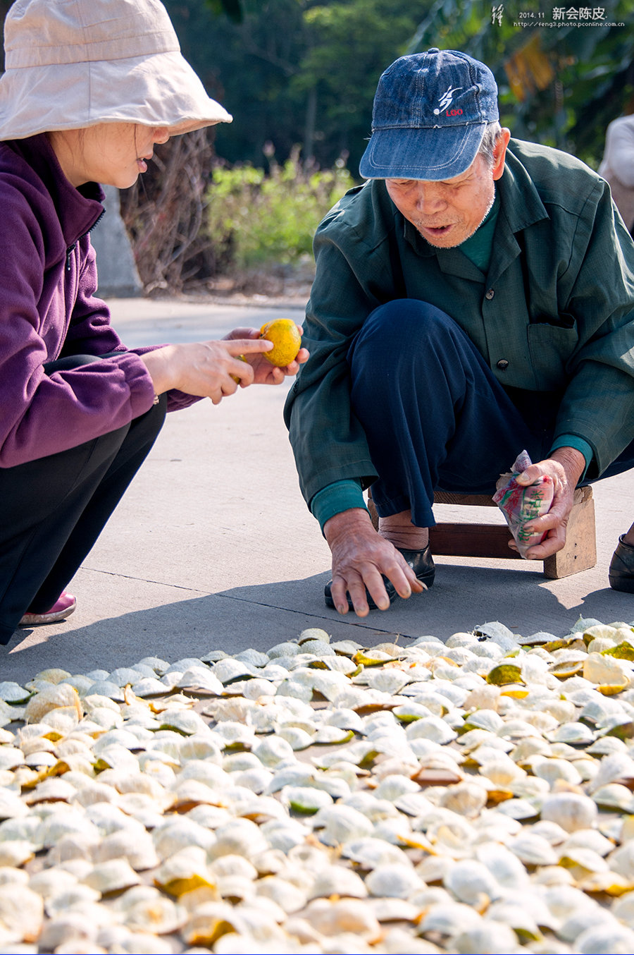 bf81c77cf61d30a073ee860db6234839.jpg 48379_48379_1416151845899_mthumb.jpg