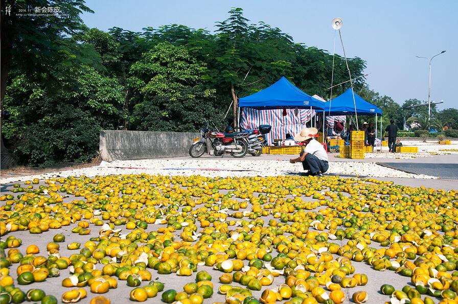 e2c17390fd657a7abaedb1bcda625147.jpg www.clwjbcxs.com新會陳皮網(wǎng)20161013170859.jpg