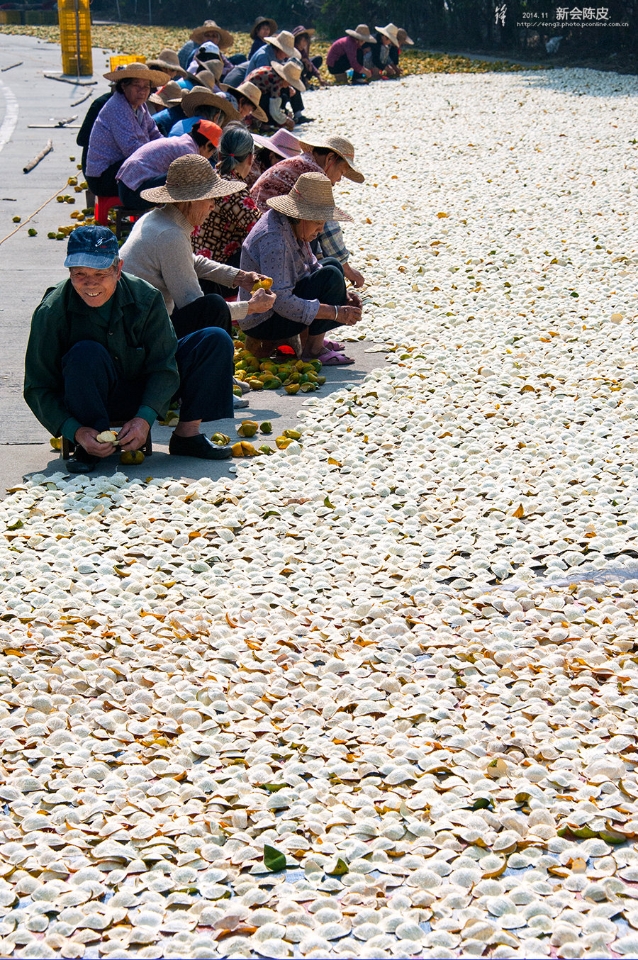 f1c237bc9902efb833250f23929a1aec.jpg 41012077_41012077_1416222672929_mthumb.jpg