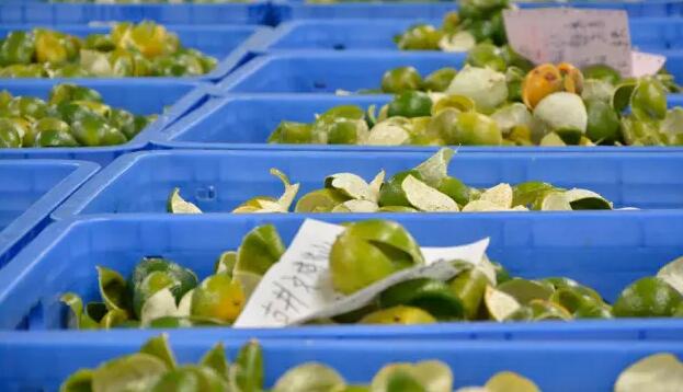 b8b2073d846c84447f47263b5f489686.jpg www.clwjbcxs.com新會(huì)陳皮網(wǎng)20161014110931.jpg