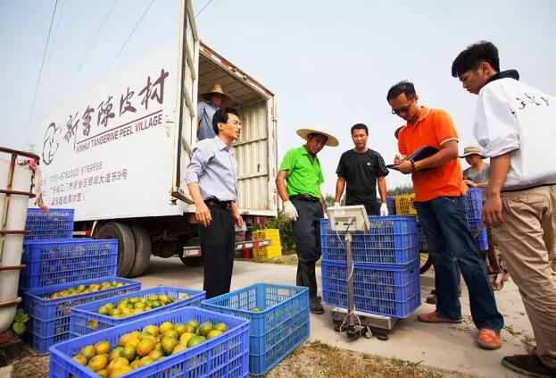 f5712370c3820e613ead9eaa40d3f16b.jpg www.clwjbcxs.com新會(huì)陳皮網(wǎng)20161014110847.jpg