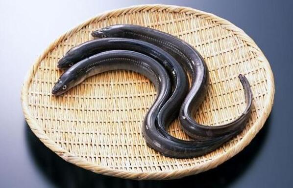 9e730ab24d390e196e15a2680a3bf734.jpg www.clwjbcxs.com新會陳皮20161024191658.jpg