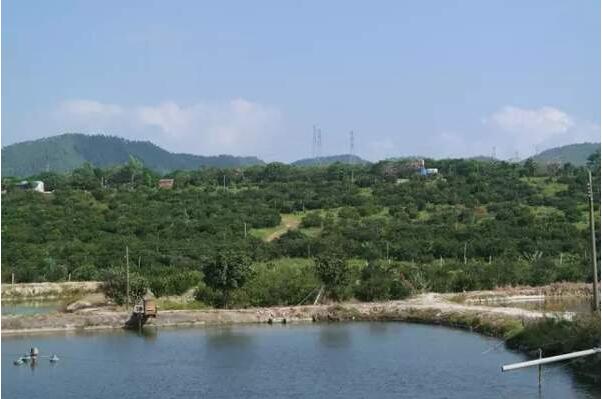 3e2197f0e9d3276db3a9acb618137c4c.jpg www.clwjbcxs.com新會陳皮20161026112506.jpg