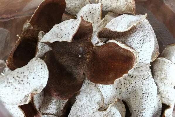 6a63a36b0179a01b20fa5c80a0e3b88d.jpg www.clwjbcxs.com新會陳皮20161026112604.jpg