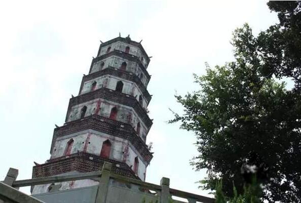 7e7ee3882f032924a57912c08c53bb71.jpg www.clwjbcxs.com新會陳皮20161026112449.jpg