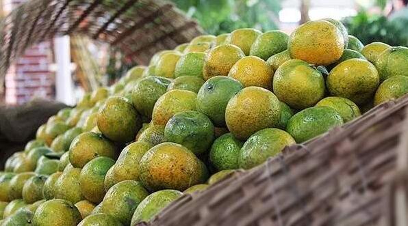 80d3a9c371549eeb2c33b93d22b4d193.jpg www.clwjbcxs.com新會陳皮20161026112547.jpg