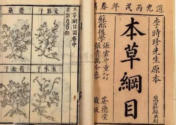 867a284b1cafff1530b3f3fae1c9725e.jpg www.clwjbcxs.com新會陳皮20161026112625.jpg