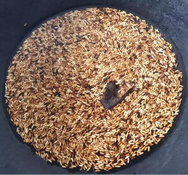 79103f3a779fd9e7778279741bdaf3c8.jpg 79103f3a779fd9e7778279741bdaf3c8.jpg