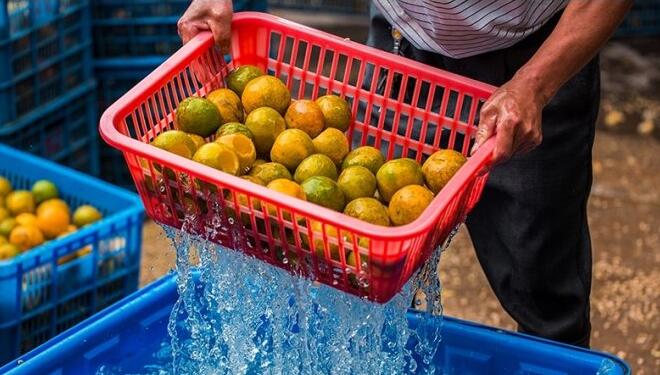 0ff54416aab077355a70bd7a0b5efb6d.jpg www.clwjbcxs.com新會陳皮20161108081814.jpg