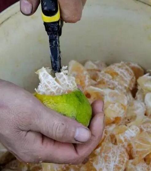 82aa5306deb2a25d31631730f953735e.jpg www.clwjbcxs.com新會陳皮20161108090323.jpg