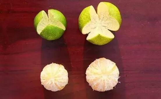 1b773079eba59de1aad43860cc482e15.jpg 20161208111545.jpg