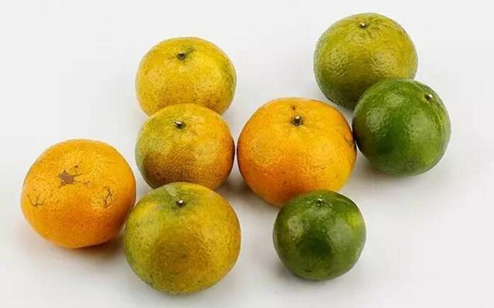 237bda61b37b02a1b794f6c9980388f6.jpg 237bda61b37b02a1b794f6c9980388f6.jpg