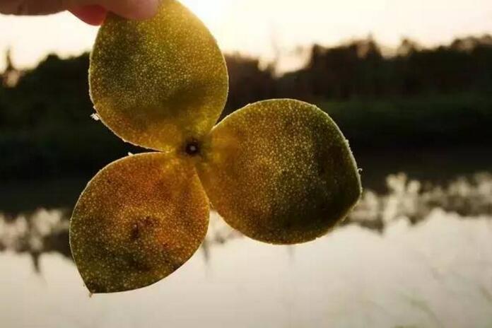 63c4bd4ff64430167387095623d6ac41.jpg 63c4bd4ff64430167387095623d6ac41.jpg