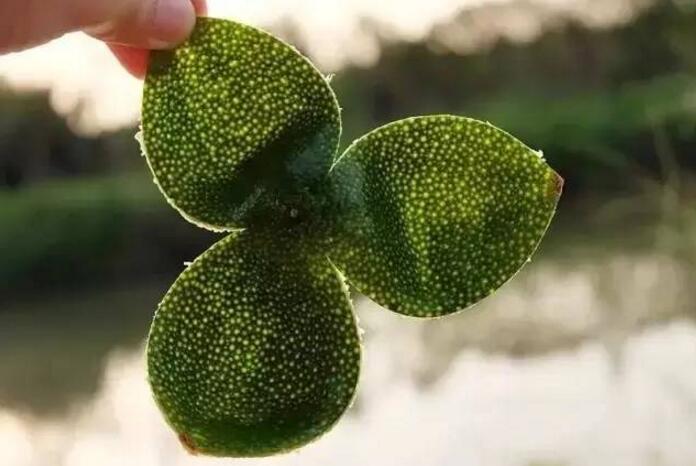 9e40f89566f71995946d1c1229a5b91e.jpg 9e40f89566f71995946d1c1229a5b91e.jpg