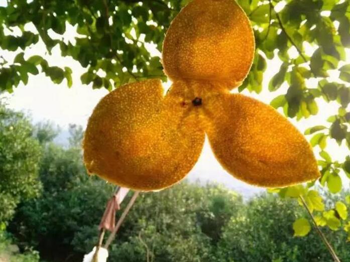 a2528f99217d6bb7b8dd887789b1667a.jpg a2528f99217d6bb7b8dd887789b1667a.jpg