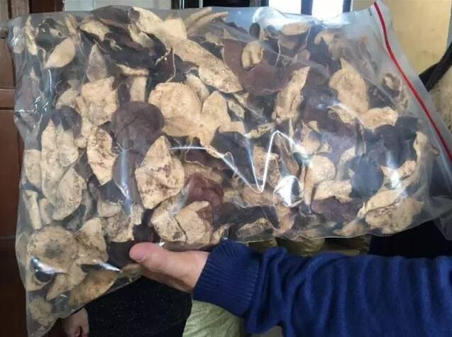 08b0c1d25172d8f17104f1753a5a4027.jpg www.megood.cn美購20161216144905.jpg