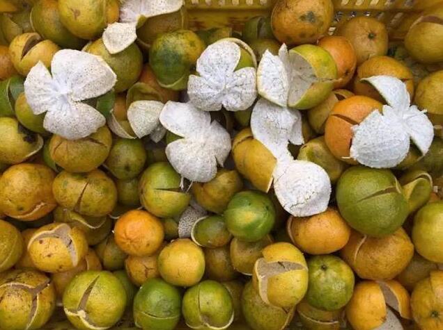 40782a7658fbbb0f5776d0b7a1bb4017.jpg www.megood.cn美購20161216144914.jpg