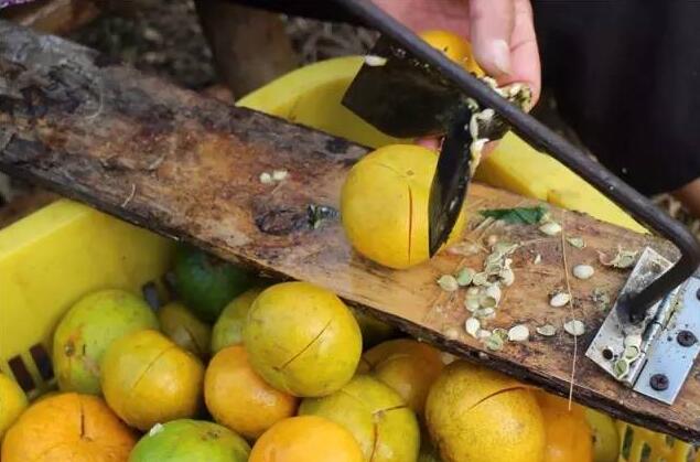 fc1de4ca7d49c71456d382edd8c4fe75.jpg www.megood.cn美購20161216144950.jpg